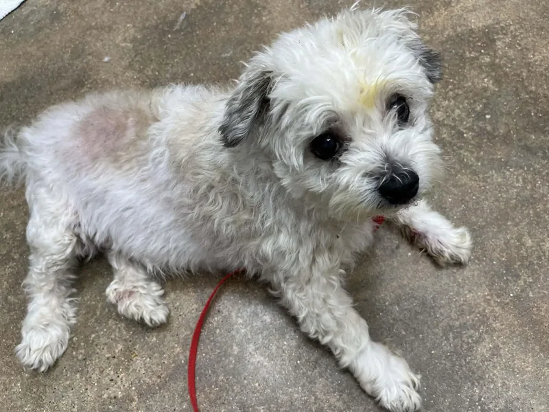 Buddy Edward thumbnail 2