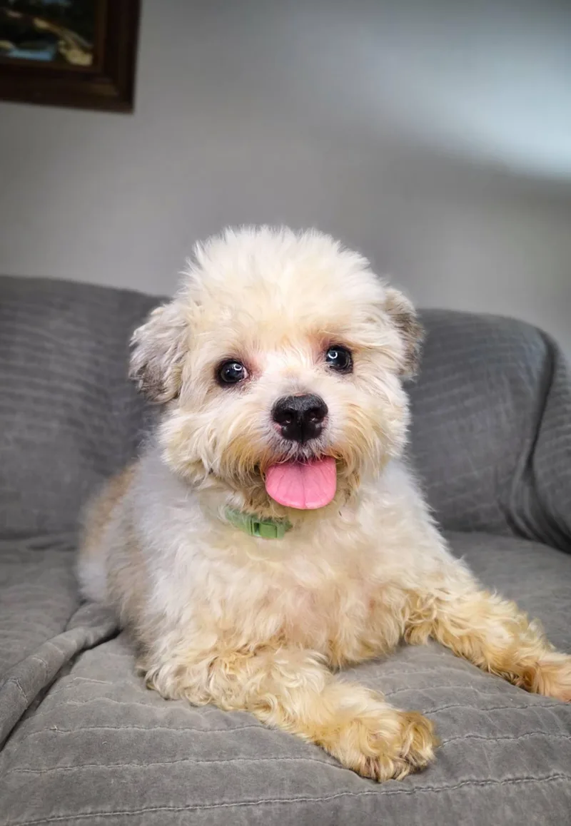 Buddy Edward thumbnail 3