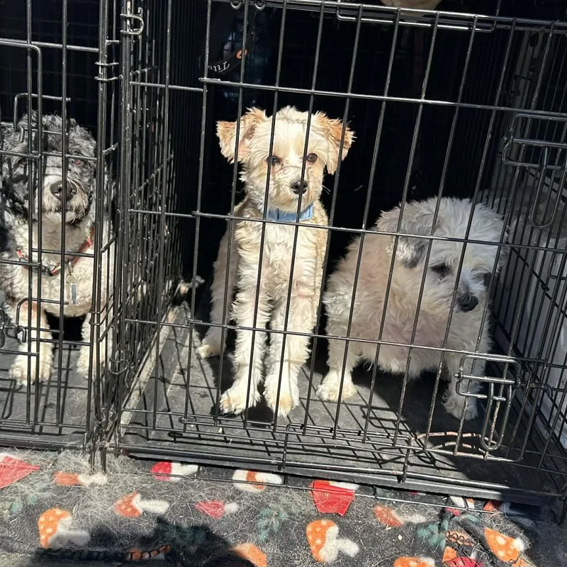 Buddy Edward thumbnail 4