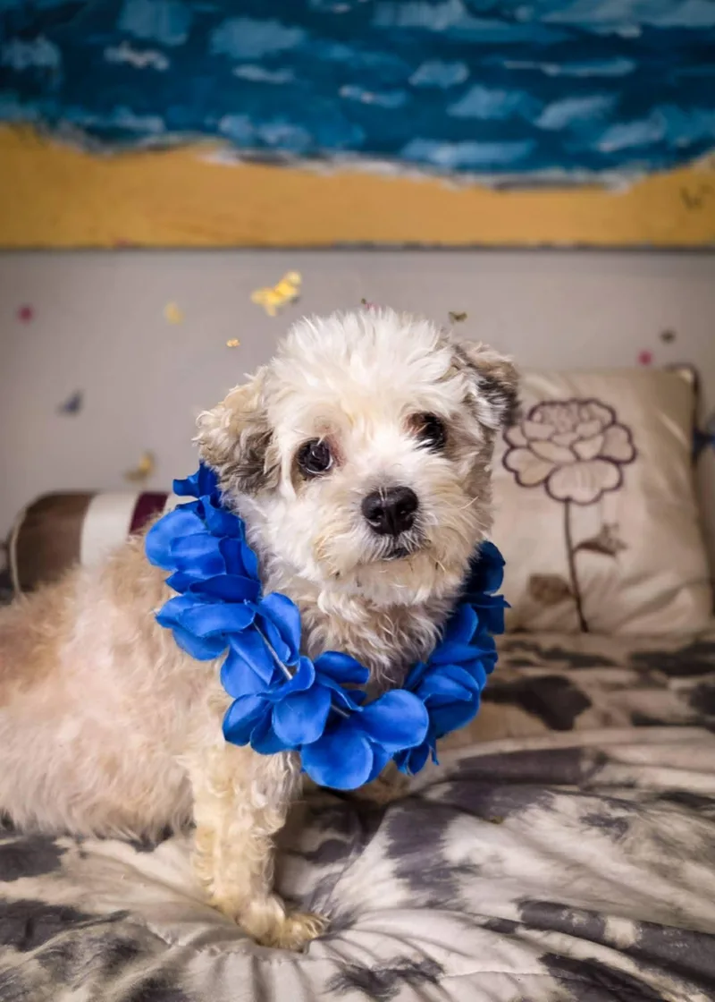 Buddy Edward thumbnail 6