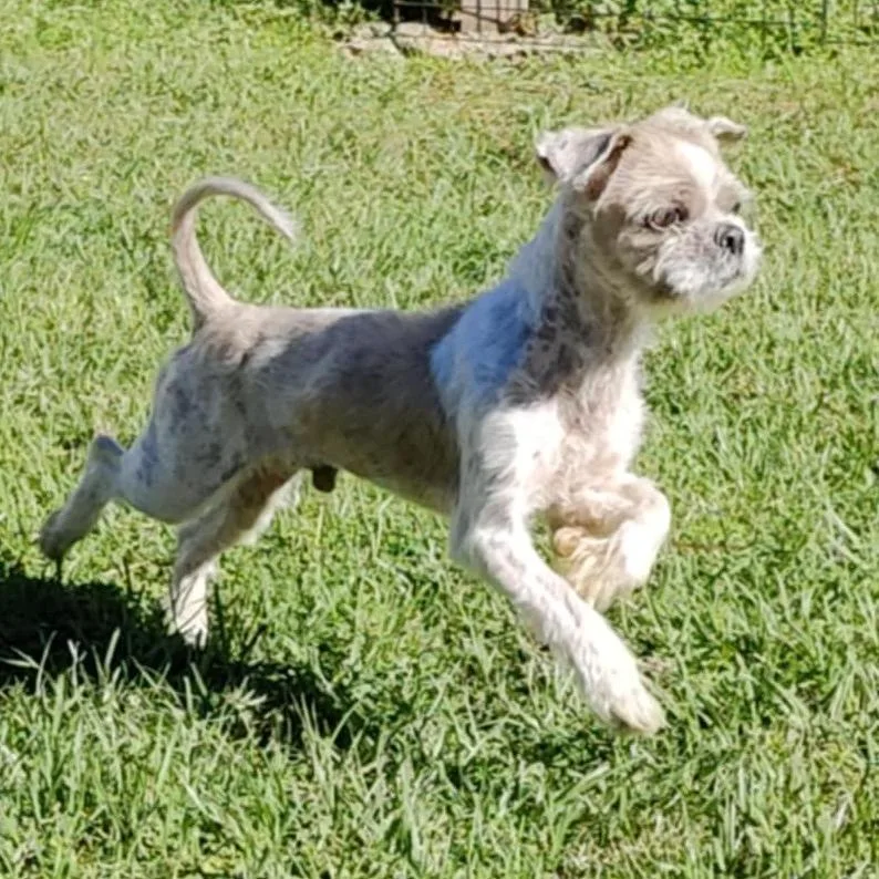 Mr. Sammy thumbnail 6