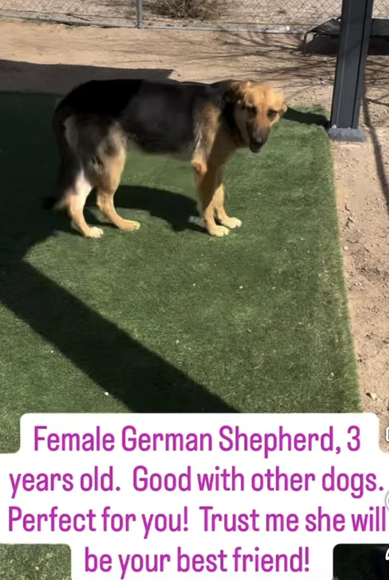 Brie Brielle!! thumbnail 2