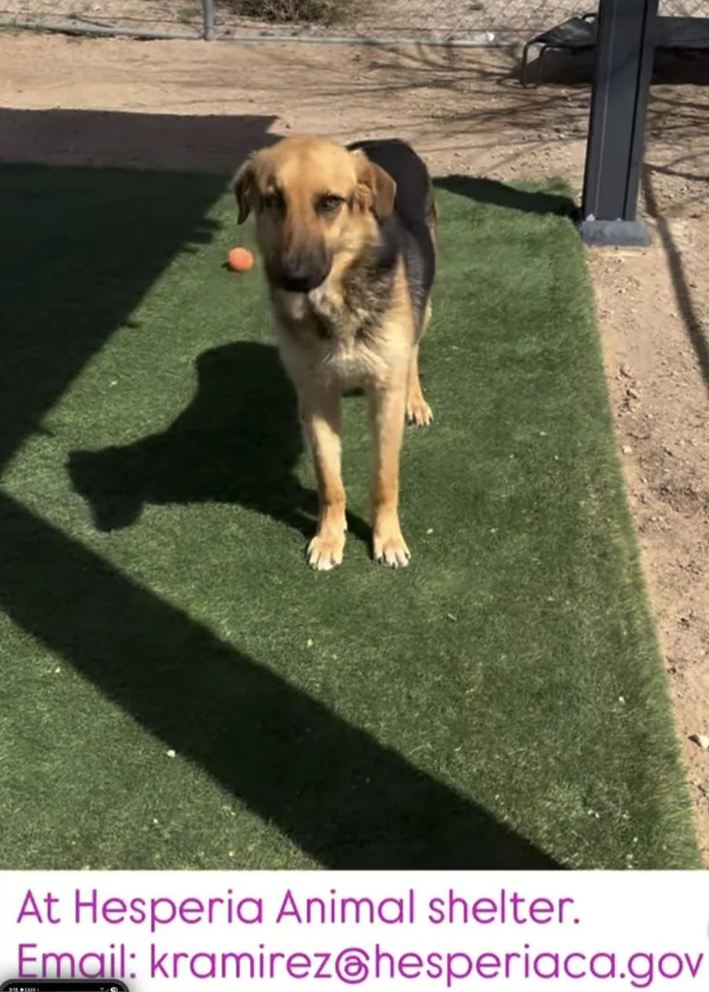 Brie Brielle!! thumbnail 3