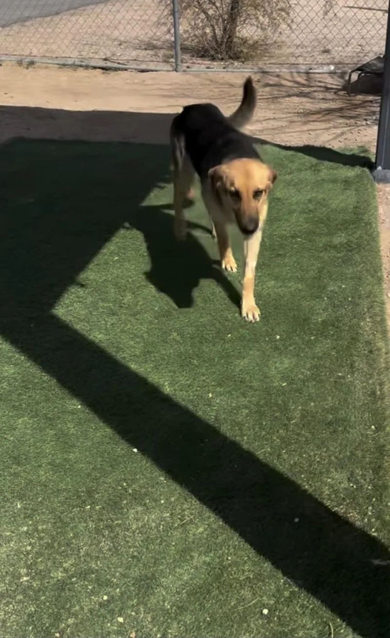 Brie Brielle!! thumbnail 4