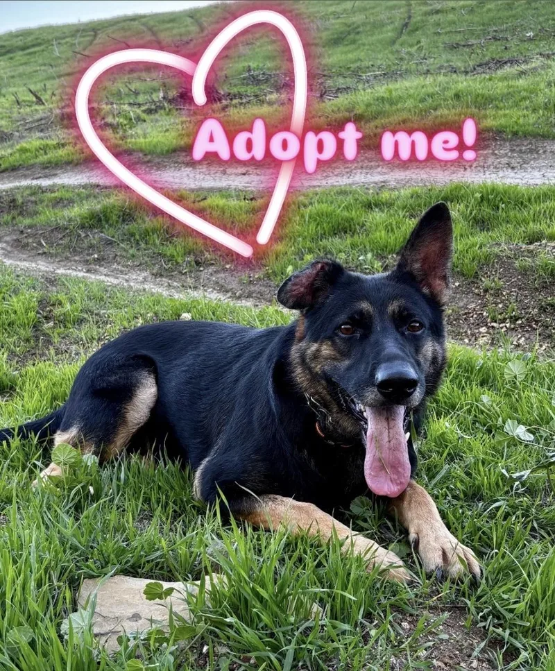 Quinn  Medicine Woman! thumbnail 2