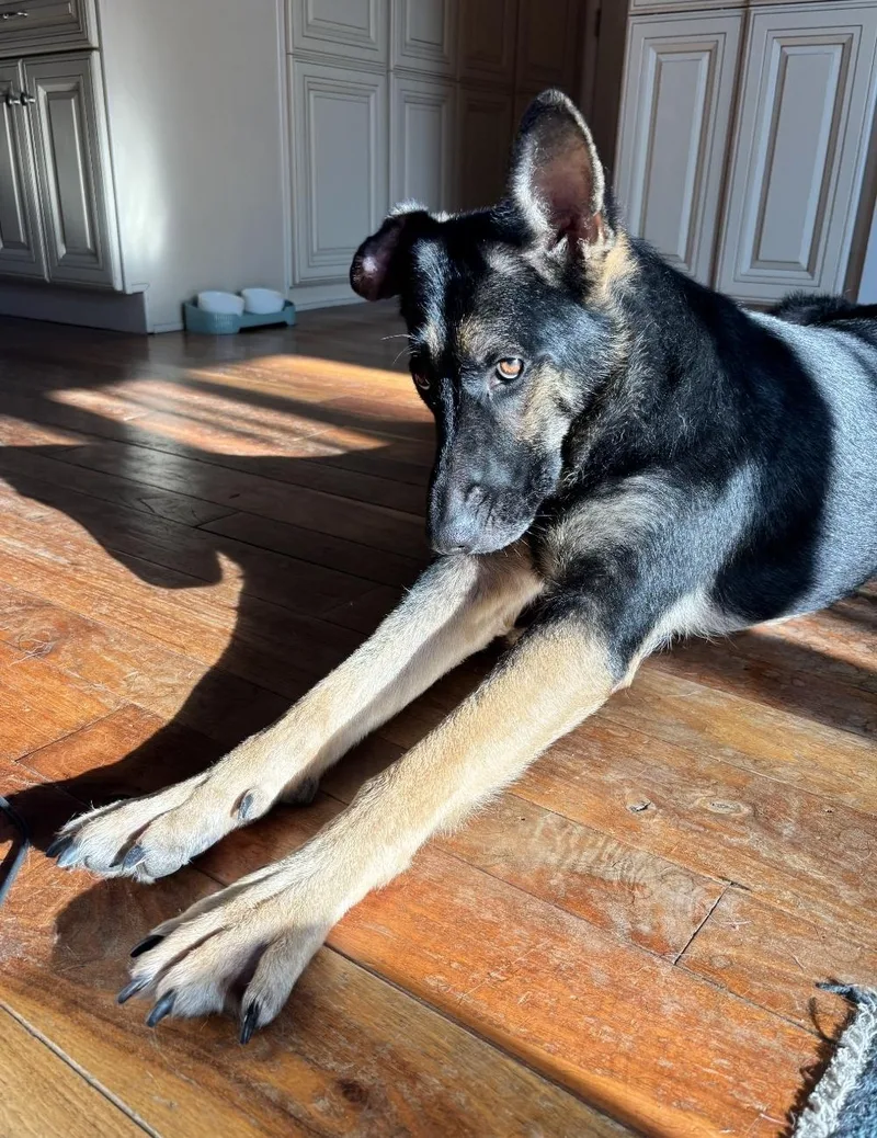 Quinn  Medicine Woman! thumbnail 3