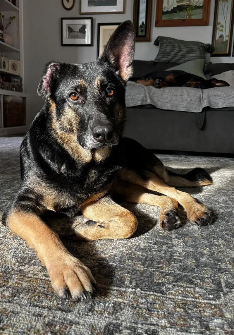 Quinn  Medicine Woman! thumbnail 6