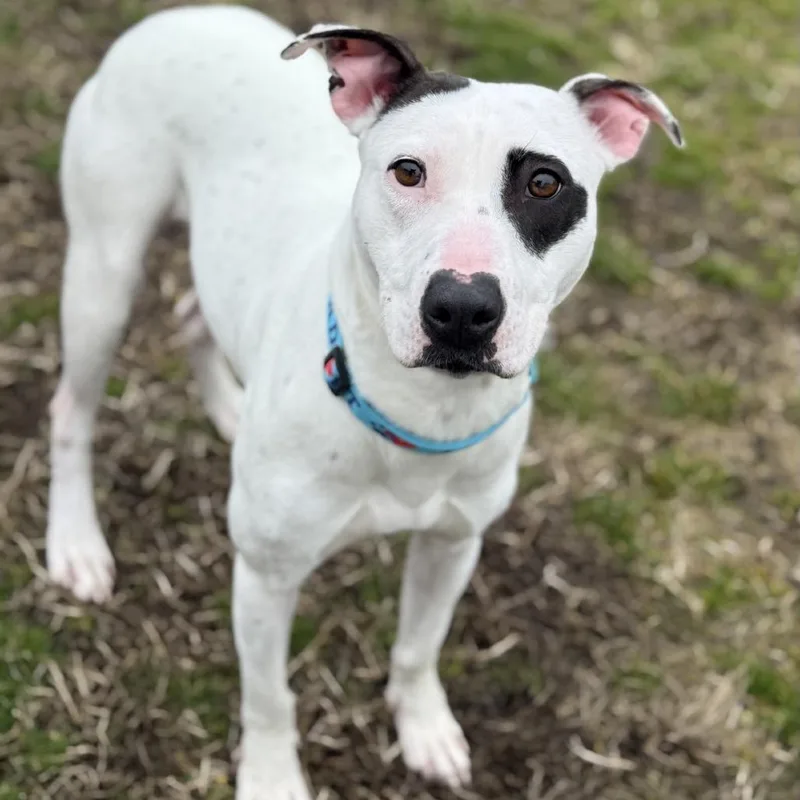 Freckles thumbnail 2