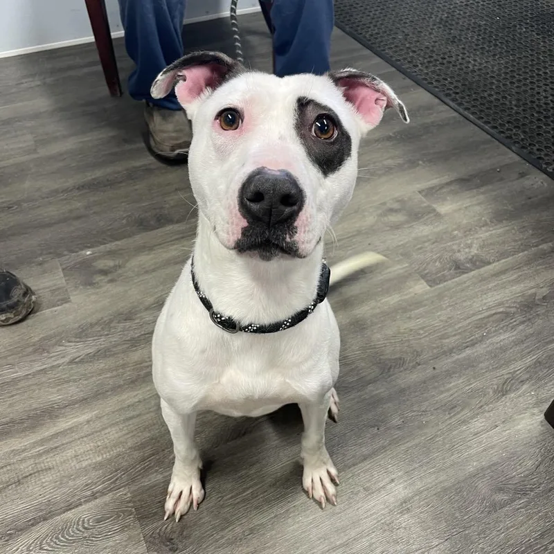 Freckles thumbnail 5