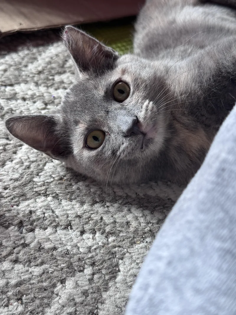 Jenny & Jasmine  thumbnail 2