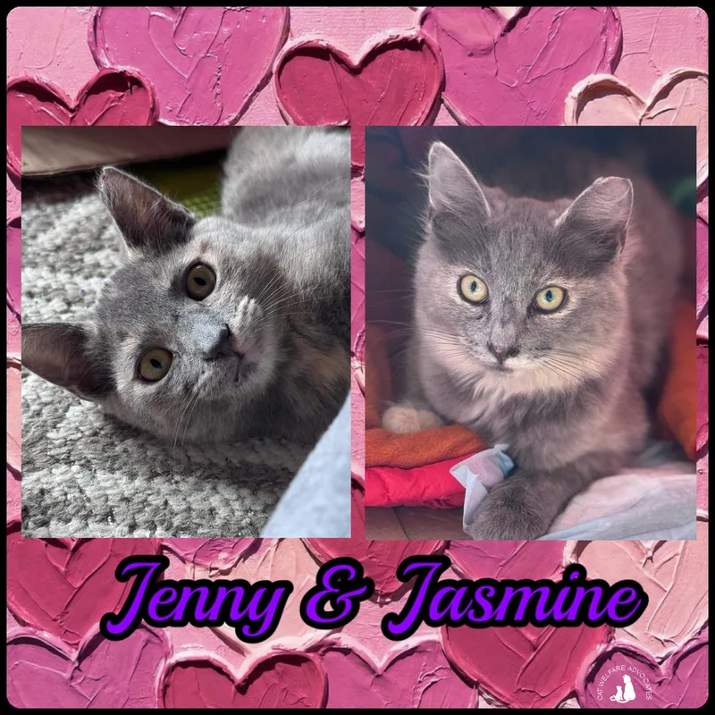 Jenny & Jasmine