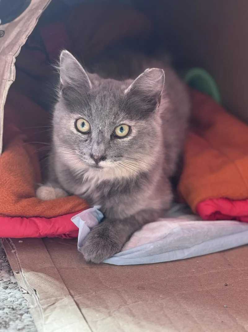 Jenny & Jasmine  thumbnail 3