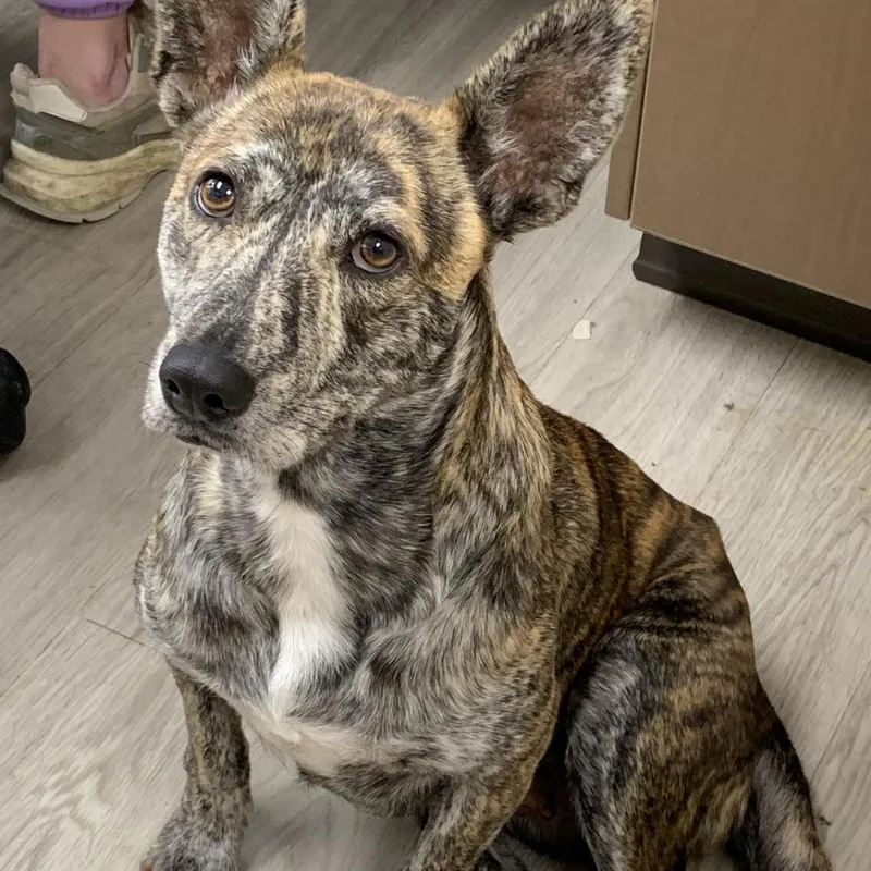 Princess thumbnail 3