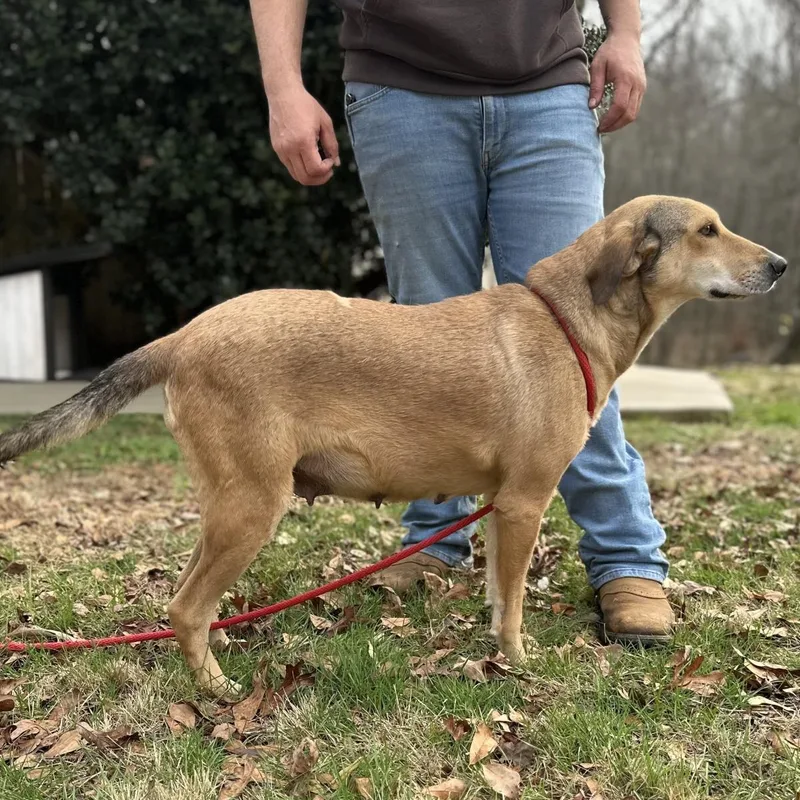 Moodonna thumbnail 3