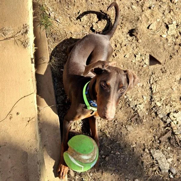 Sebastian thumbnail 2