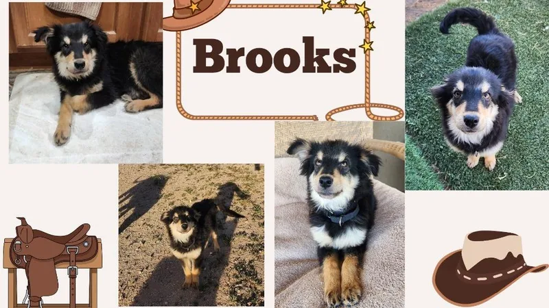Brooks