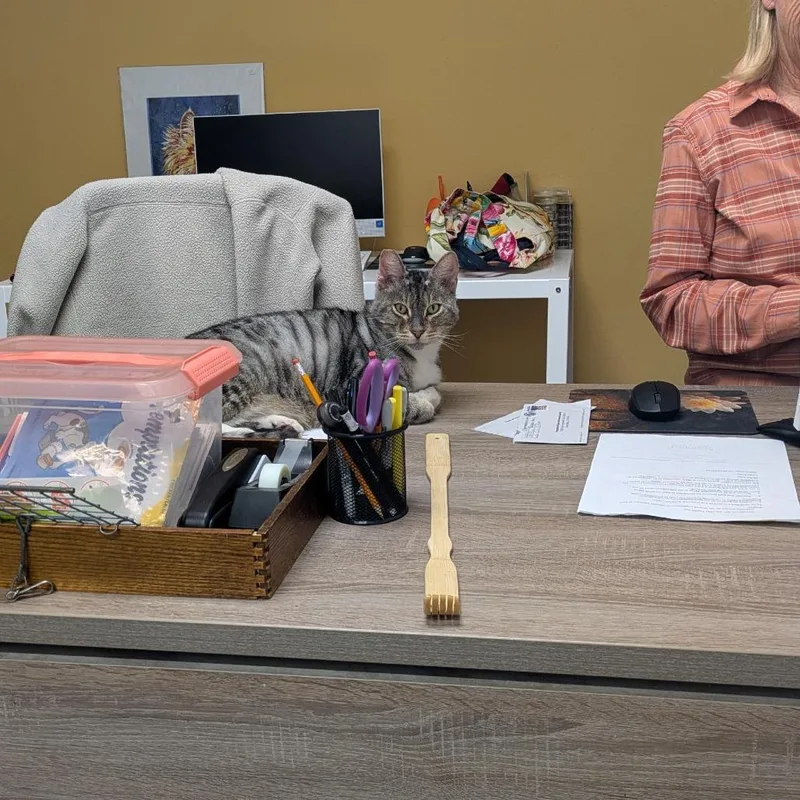 Ff: Cap'n Crunch thumbnail 5