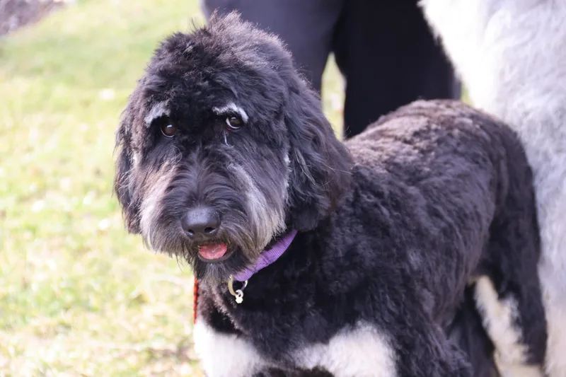 Gilda And Giselle thumbnail 3