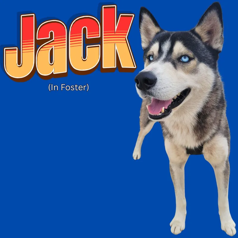 Jack