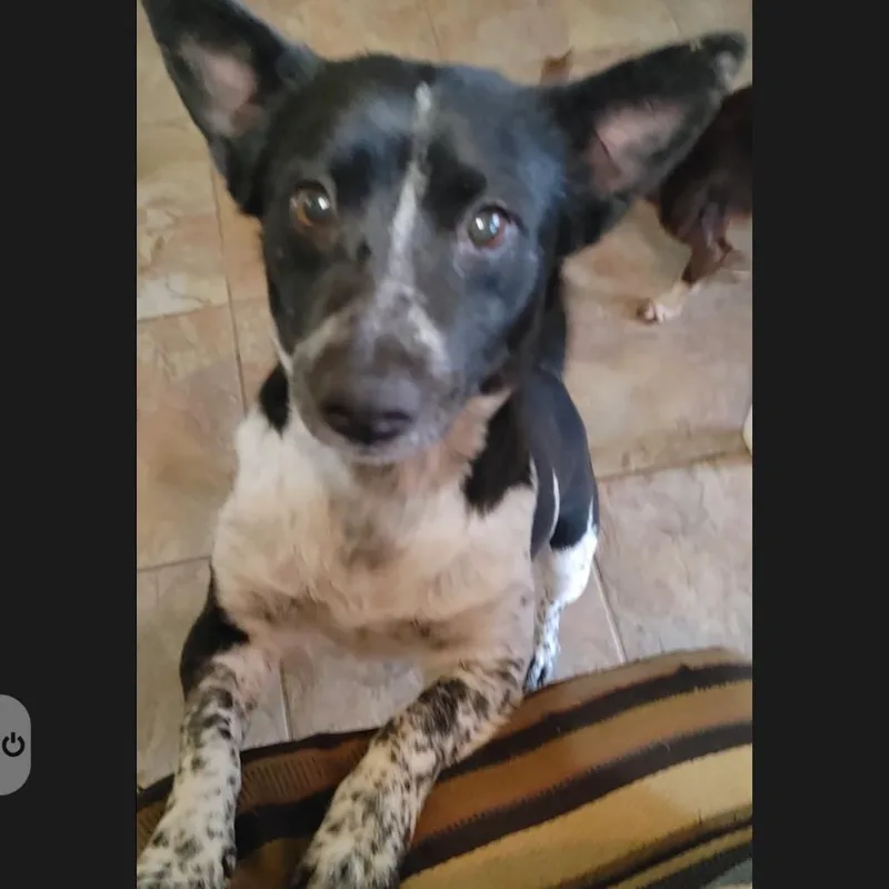 Little Bit thumbnail 2