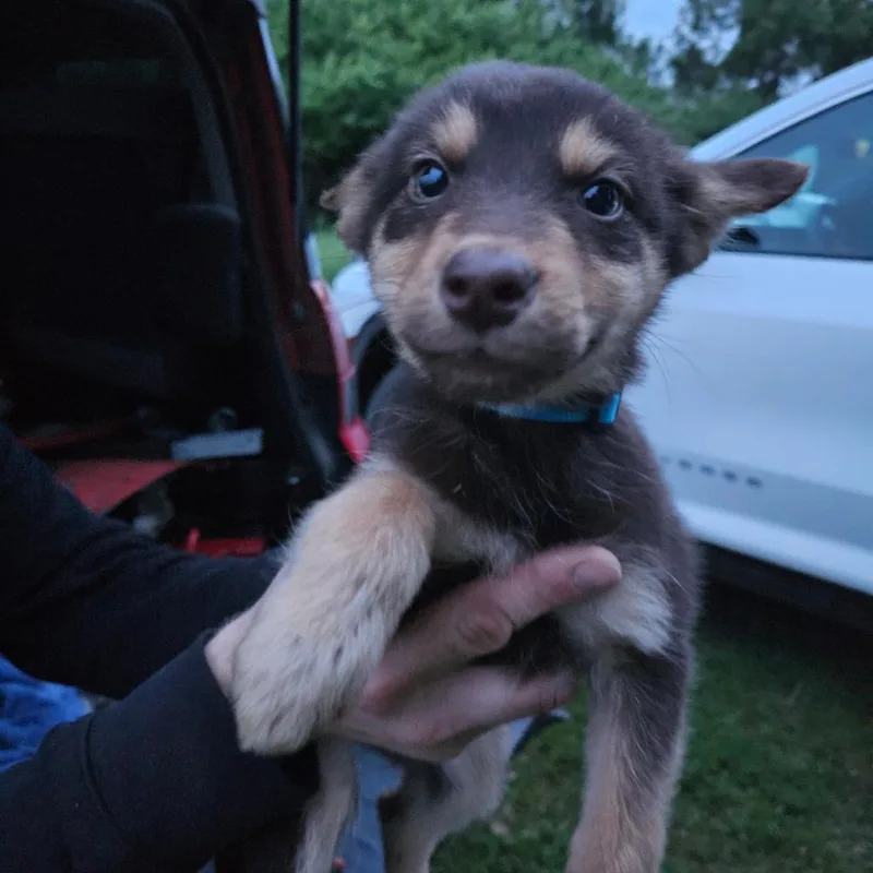 Justice Aka Ritzy thumbnail 4