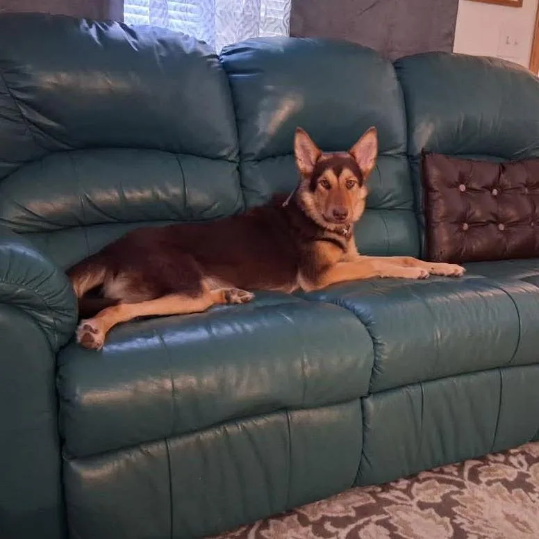 Justice Aka Ritzy thumbnail 5