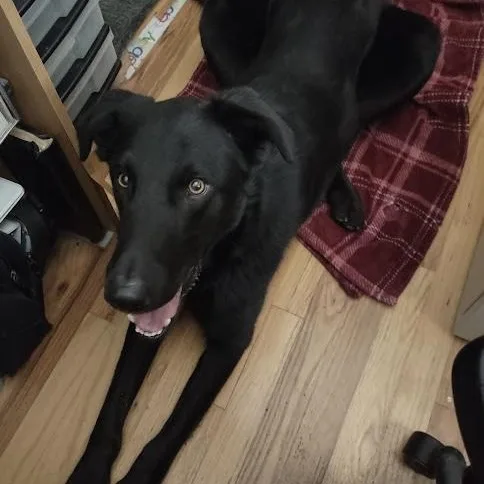 Bruce Wayne thumbnail 2