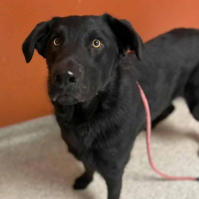 Bruce Wayne thumbnail 3