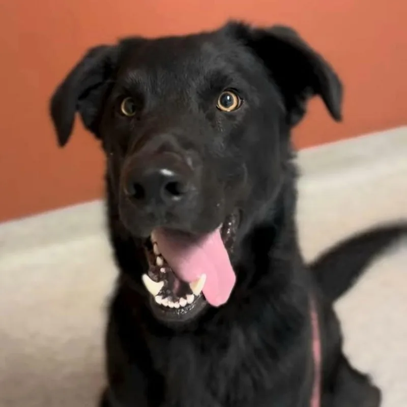 Bruce Wayne thumbnail 4