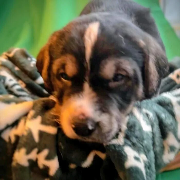 Einstein thumbnail 2