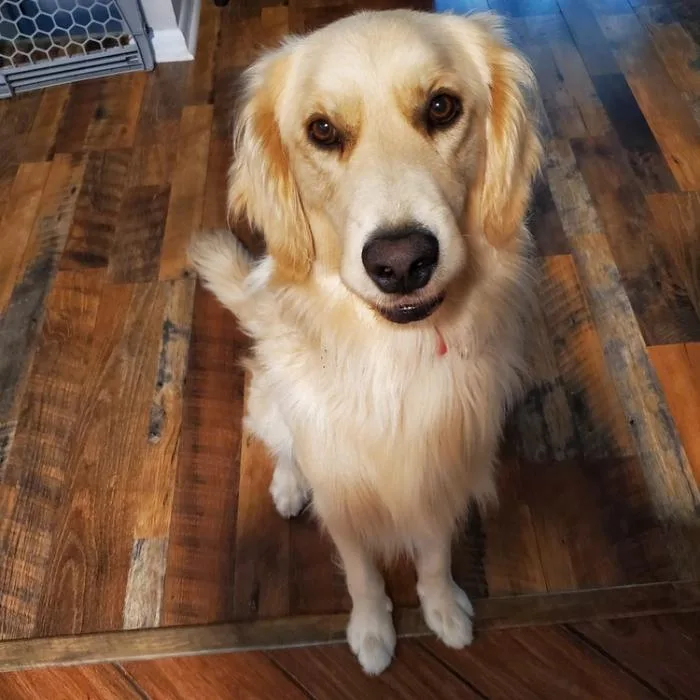 Zeus Reyes thumbnail 2