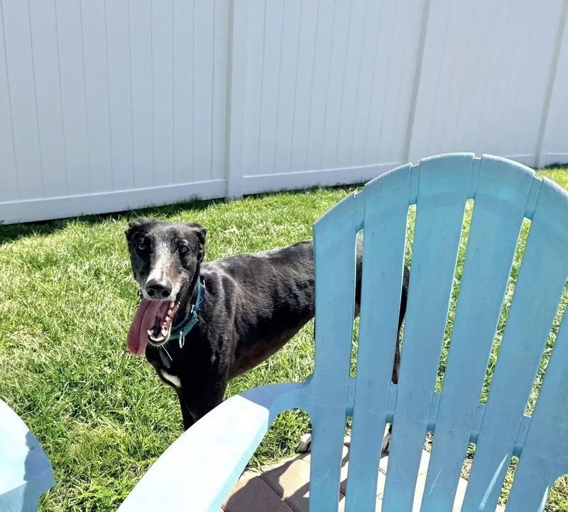 Soñador thumbnail 3