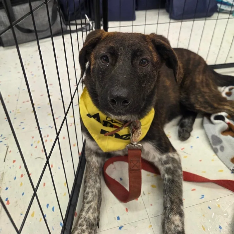 Squidward thumbnail 2