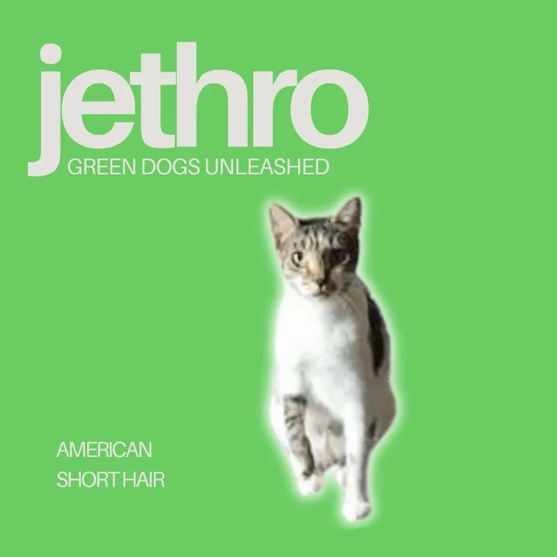 Jethro