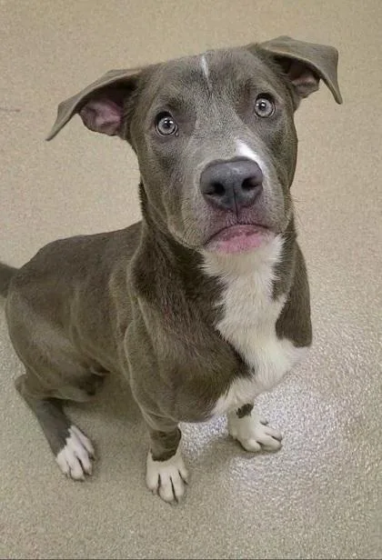 Elwood Winterville thumbnail 2