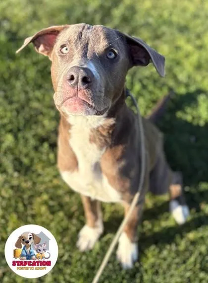 Elwood Winterville thumbnail 3