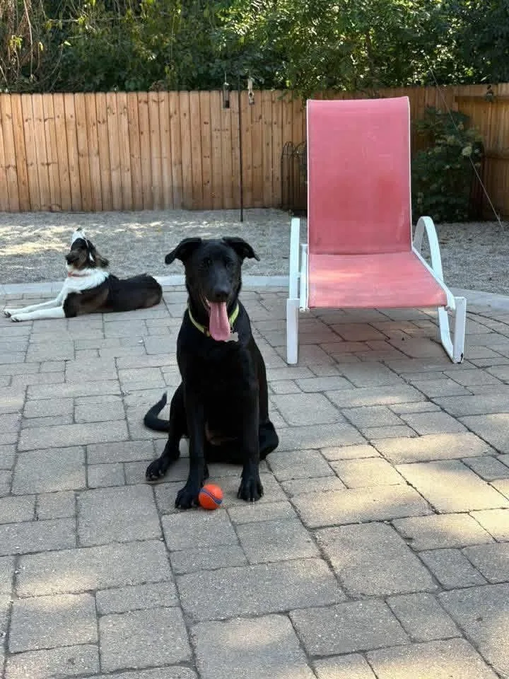 Ravenclaw thumbnail 2