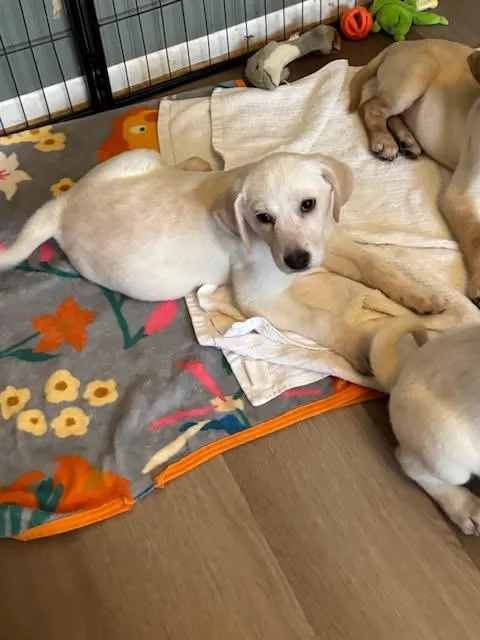 Regina George thumbnail 2