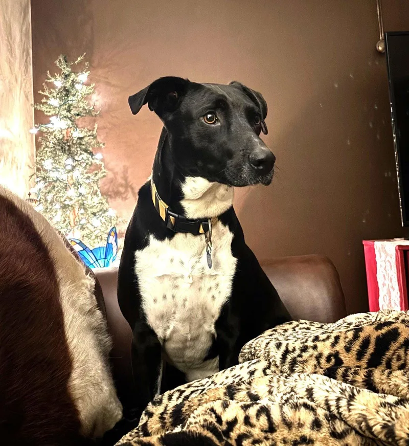 Luna Ann thumbnail 2