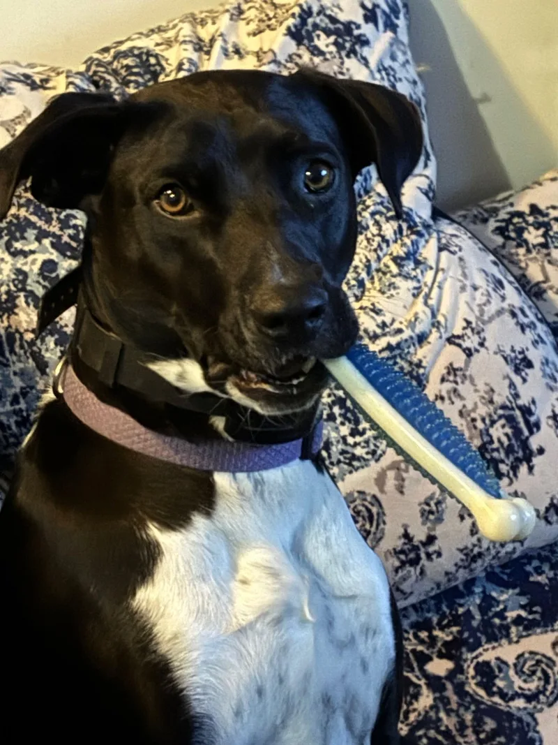 Luna Ann thumbnail 3