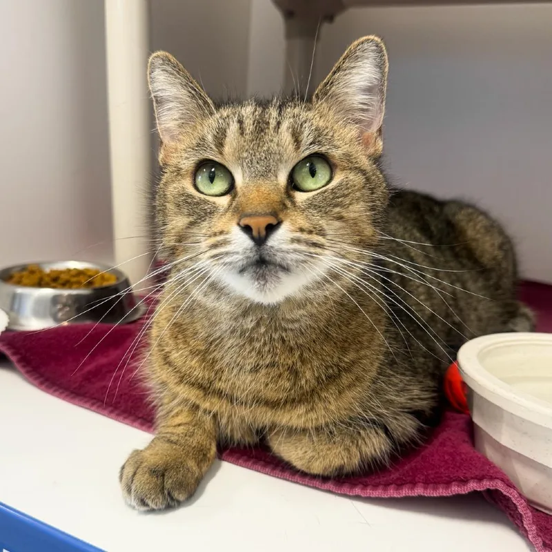 Gabrielle thumbnail 2