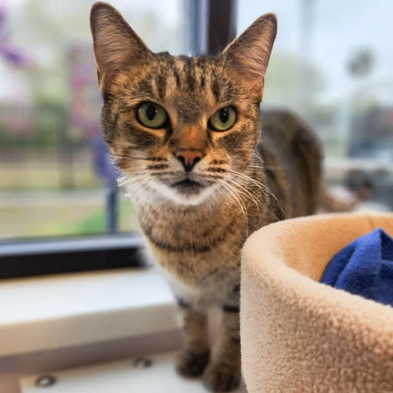 Gabrielle thumbnail 3