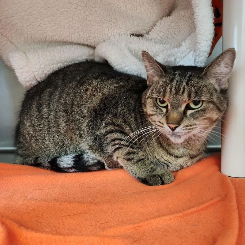 Gabrielle thumbnail 4