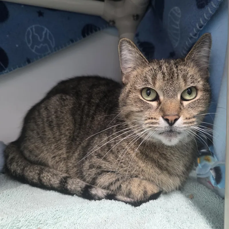 Gabrielle thumbnail 5