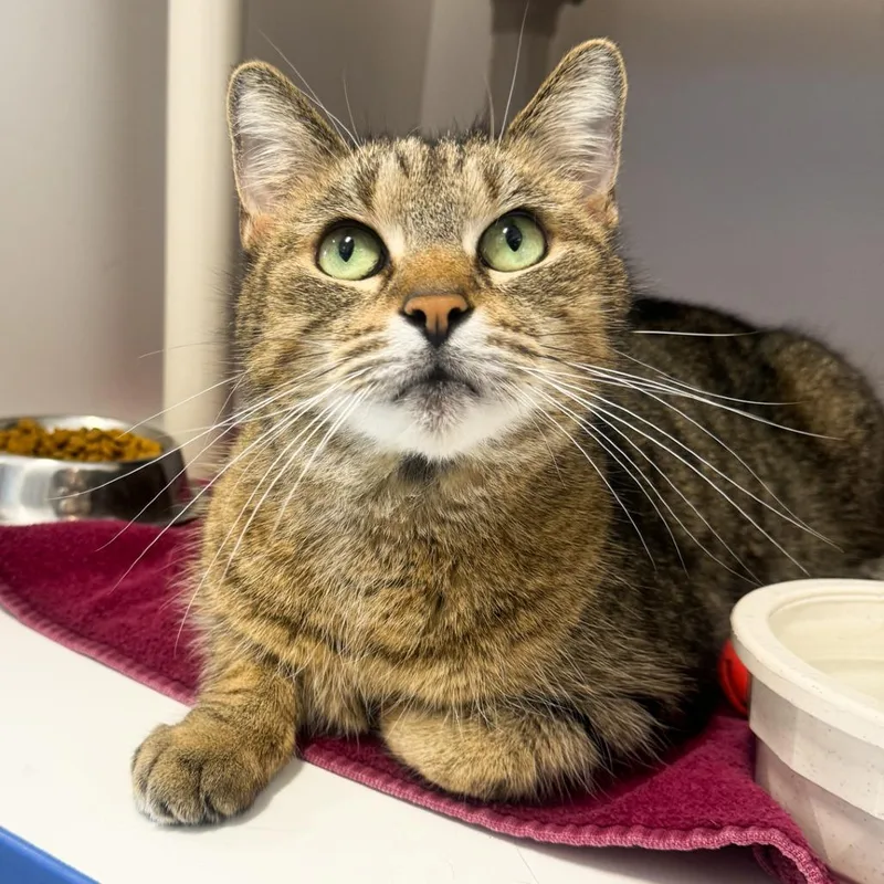 Gabrielle thumbnail 6