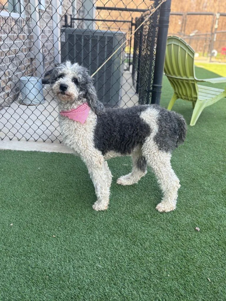 Eleanorrose thumbnail 2