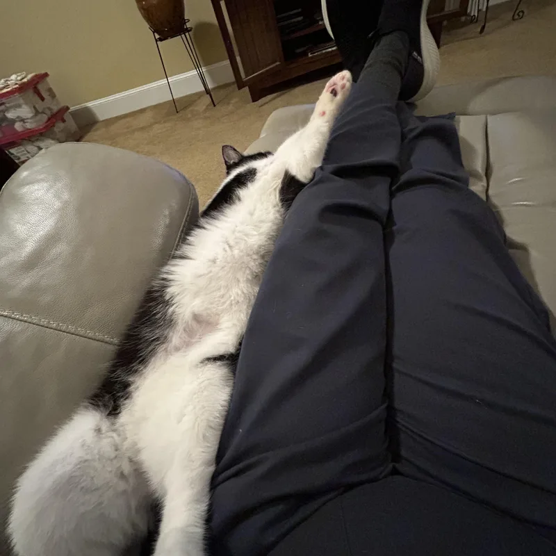 Max Adult Male Tuxedo thumbnail 2