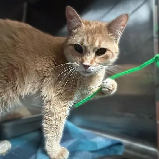 Redstone thumbnail 2