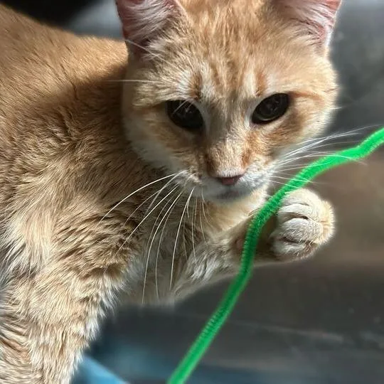 Redstone thumbnail 3