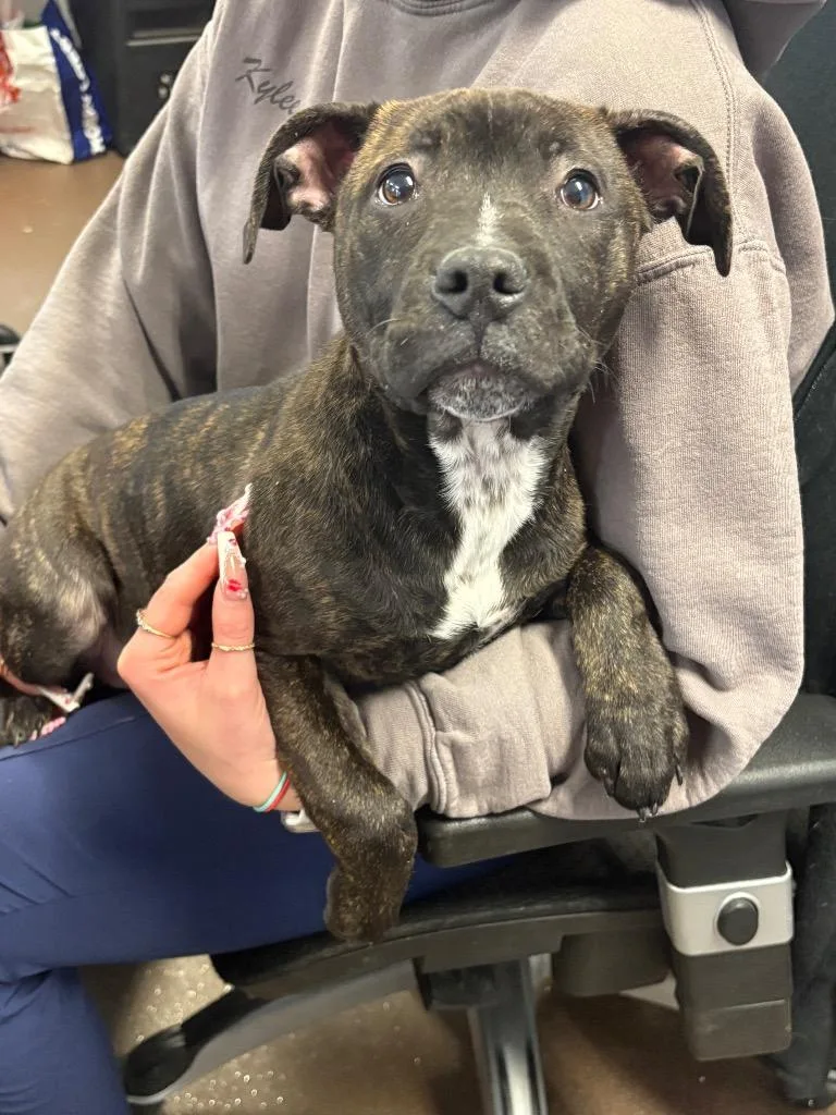 Sweetheart thumbnail 2